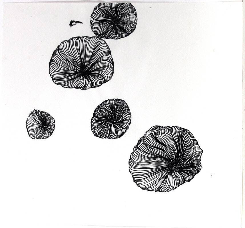 Quallen | © Galerie Dr. Markus Döbele