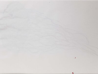 Qualle | © Galerie Dr. Markus Döbele