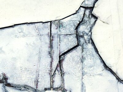 Ohne Titel | © Galerie Dr. Markus Döbele