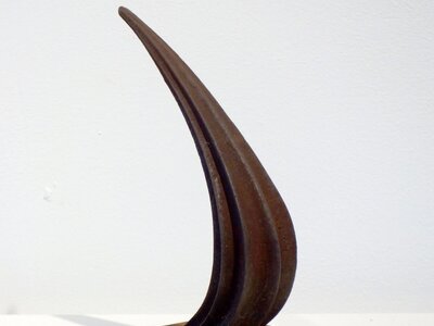 Vela | © Galerie Dr. Markus Döbele