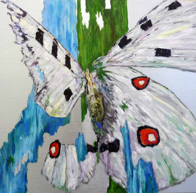 © Galerie Dr. Markus Döbele Shattered butterfly: Apollofalter | © Galerie Dr. Markus Döbele