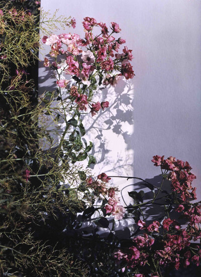 © Galerie Dr. Markus Döbele Garden II | © Galerie Dr. Markus Döbele